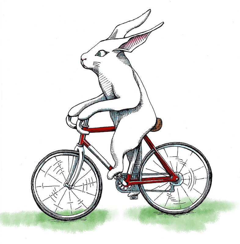 Rabbit